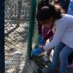 Öğrenciler Hayvan Parkı’nı gezdi