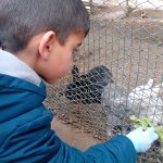 İlkokul öğrencilerinden hayvan barınağına ziyaret