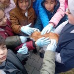 İlkokul öğrencilerinden hayvan barınağına ziyaret
