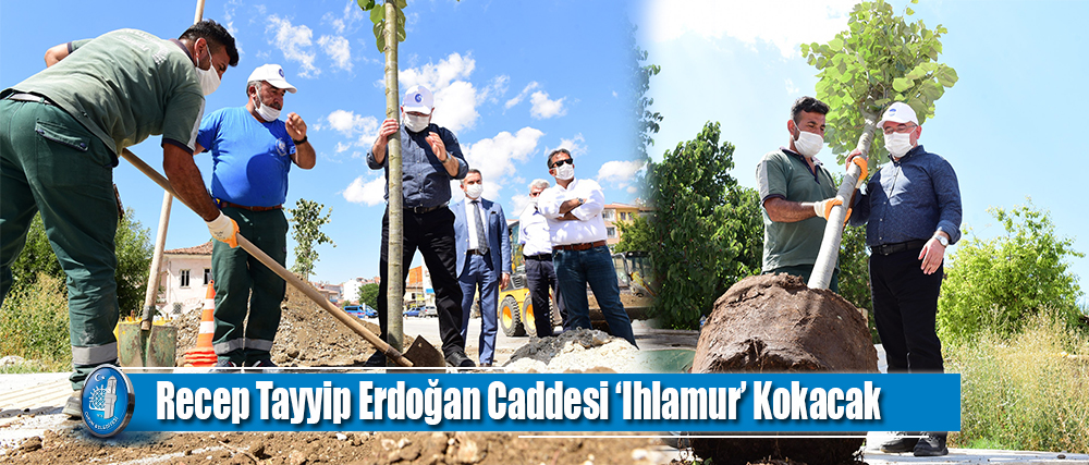 Recep Tayyip Erdoğan Caddesi ‘Ihlamur’ Kokacak