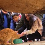 Öğrenciler Hayvan Dostlarıyla Buluştu