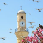 “Çorum’da Bahar”  fotoğraf yarışması sonuçlandı