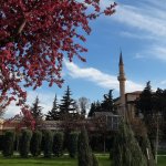 “Çorum’da Bahar”  fotoğraf yarışması sonuçlandı