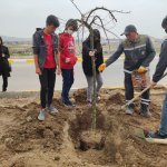 Belediyemiz Ekibinin Ağaçlandırma Çalışmasına Öğrencilerden Destek