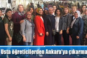 Usta öğreticilerden Ankara'ya çıkarma