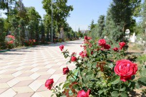 Arife günü mezarlıklarda 22 bin çiçek dağıtacağız
