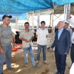 Başkan Gül, hayvan pazarında incelemede bulundu
