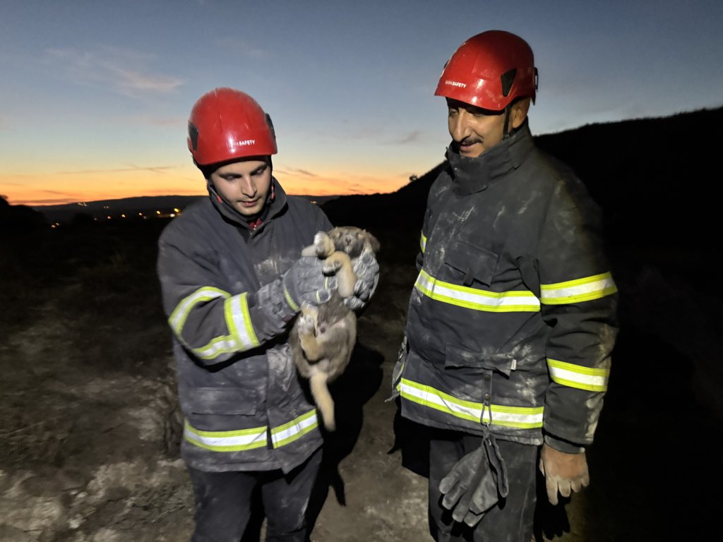 2 yavru köpek saatler süren operasyonla kurtarıldı