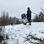 Çorum Belediyesi yaban hayvanlarını unutmadı